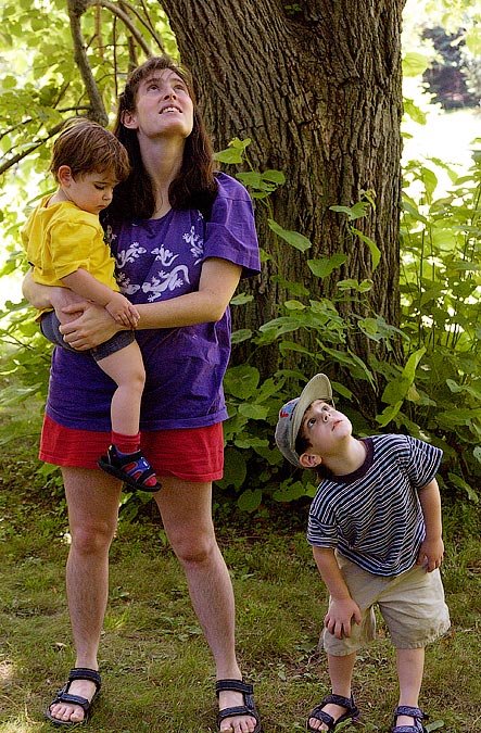 Noah, Anne and Eytan looking for a bird; Wellesley College; ; Nikon D1X; 7/13/2002 12:07:47.0 PM; Color; Data Format: RAW (12-bit); Compression: None; Image Size: Large (3008 x 1960); Lens: 28-105mm f/3.5-4.5; Focal Length: 55mm; Exposure Mode: Aperture Priority; Metering Mode: Multi-Pattern; 1/100 sec - f/5.6; Exposure Comp.: 0 EV; Exposure Difference: 0 EV; Flash Sync Mode: Not Attached; Sensitivity: ISO 800; Color Mode: Mode II (Adobe RGB); Hue Adjustment: 3; White Balance: Direct sunlight; Tone Comp: Normal; Sharpening: Normal