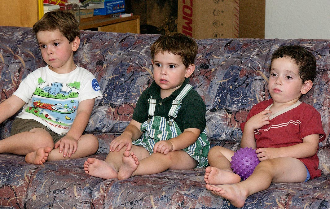 Eytan, Noah and Benji watching a video; Newton, MA; ; Nikon D1X; 8/26/2002 2:34:30.2 PM; Color; Data Format: RAW (12-bit); Compression: None; Image Size: Large (3008 x 1960); Lens: 28-105mm f/3.5-4.5; Focal Length: 66mm; Exposure Mode: Manual; Metering Mode: Multi-Pattern; 1/500 sec - f/8; Exposure Comp.: 0 EV; Exposure Difference: -5 EV; Flash Sync Mode: Front Curtain; Sensitivity: ISO 800; Color Mode: Mode II (Adobe RGB); Hue Adjustment: 3; White Balance: Direct sunlight; Tone Comp: Normal; Sharpening: Normal