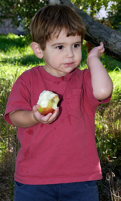 Noah ate more apples than he picked; Harvard, MA; ; Nikon D1X; 10/6/2002 11:41:07.6 AM; Color; Data Format: RAW (12-bit); Compression: None; Image Size: Large (3008 x 1960); Lens: 28-105mm f/3.5-4.5; Focal Length: 55mm; Exposure Mode: Aperture Priority; Metering Mode: Multi-Pattern; 1/60 sec - f/10; Exposure Comp.: 0 EV; Exposure Difference: -3/4 EV; Flash Sync Mode: Front Curtain; Sensitivity: ISO 200; Color Mode: Mode II (Adobe RGB); Hue Adjustment: 3; White Balance: Direct sunlight; Tone Comp: Normal; Sharpening: Normal