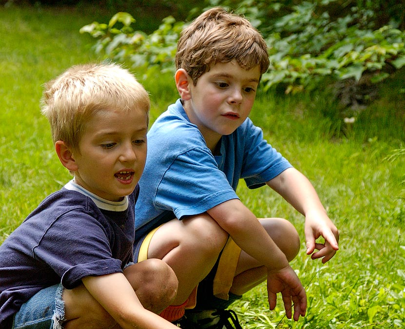 Luke and Eytan looking for water bugs in the stream; Wellesley College, Wellesley, MA