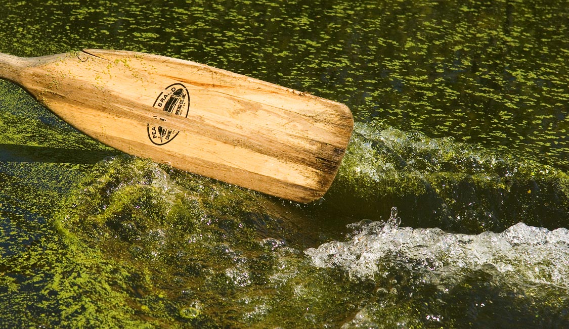 Canoeing:  Duckweed; Concord; MA; USA