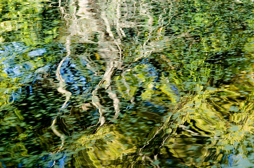 Canoeing:  Duckweed and reflection; Concord; MA; USA