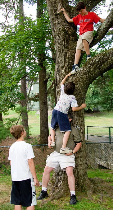 Noah and Matt\'s 7th Birthday Party; Caleb climbing on Mike to join Ben in the tree; Newton Center Playground; Newton; MA; US