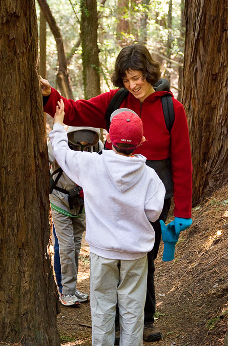 Noah and Anne feeling the texture of a redwood; Bootjack Trail; Mt. Tamalpais State Park; CA; US