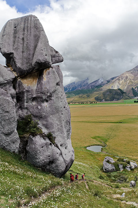 Castle Hill; South Island; New Zealand