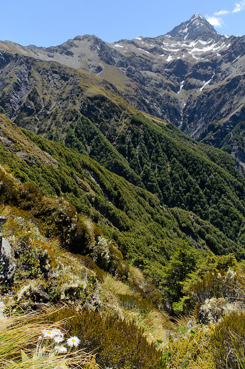 Scotts Track; Arthurs Pass; South Island; New Zealand