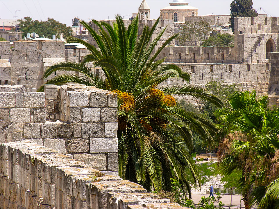 On the old city wall; Jerusalem; MA; Israel