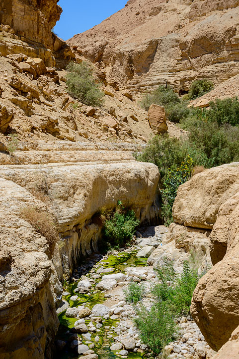 Wadi Arugot; Ein Gedi; MA; Israel