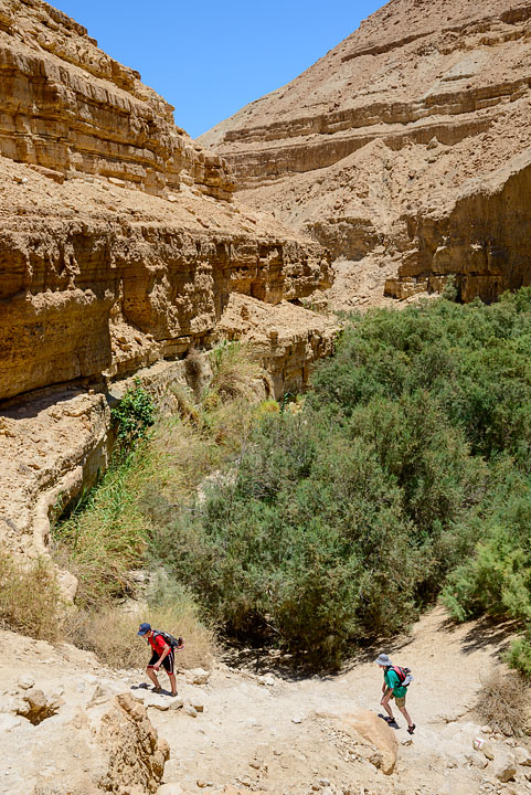 Wadi Arugot; Ein Gedi; MA; Israel