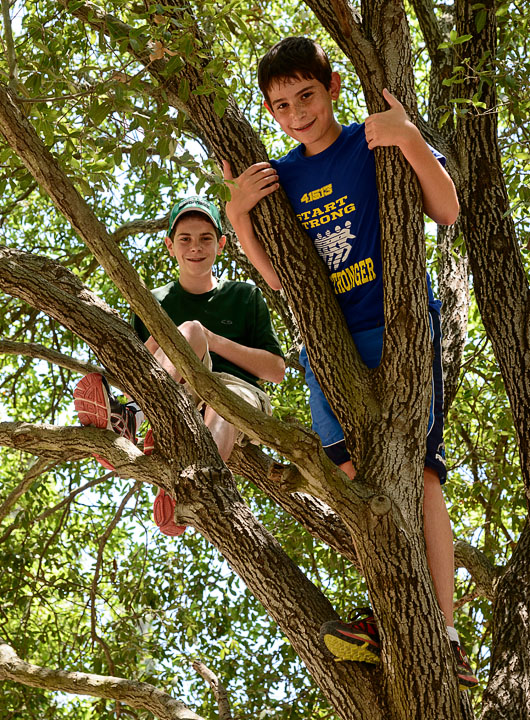 Eytan and Noah climbing a tree; Beit She\'arim; MA; Israel