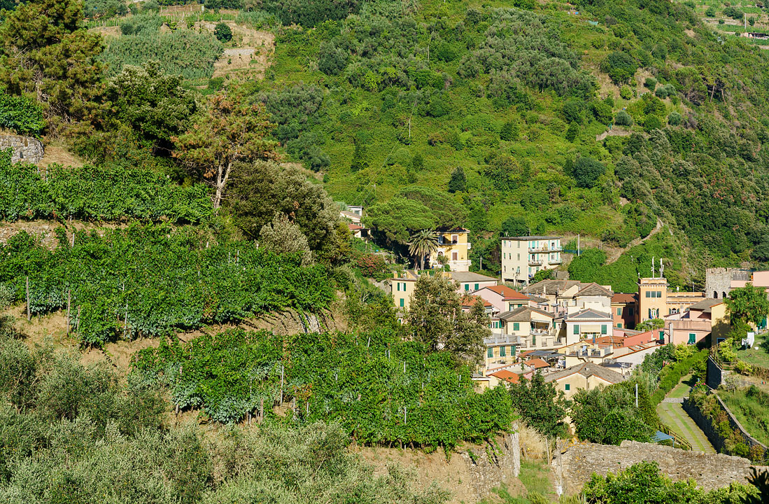 Cinque Terre; MA; Italy