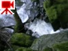 DSCN1290.mov
